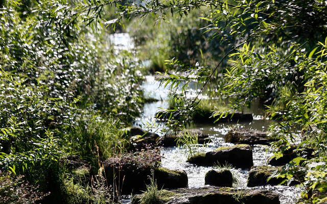 20200304 Foto Ruppoldingen 4 Natur